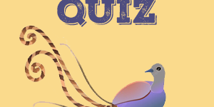 Lyrebird quiz Lyrebird Quiz