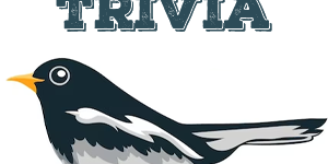 Magpie Trivia Magpie Quiz