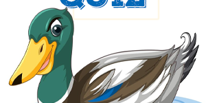 Mallard Quiz