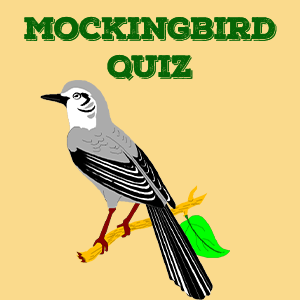 Mockingbird Quiz