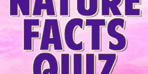 Nature Facts quiz Nature Facts quiz