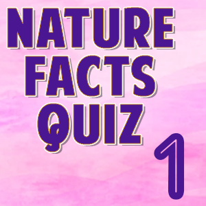 Nature Facts1