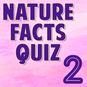 Nature Facts2