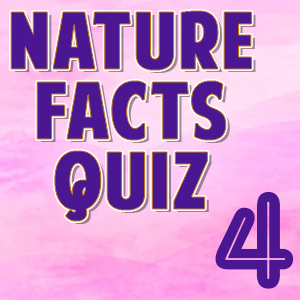 Nature Facts4
