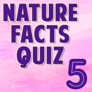 Nature Facts5