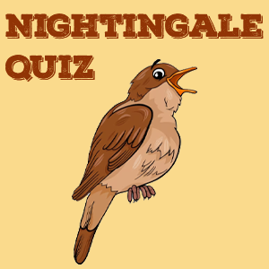Nightingale Quiz