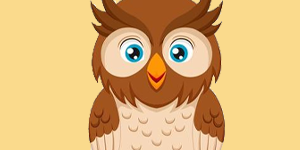 Owl Quiz Owl Quiz