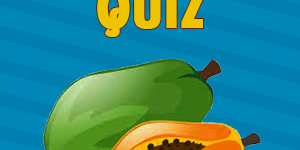 Papaya Quiz Papaya Quiz
