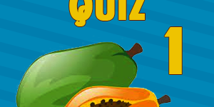 Papaya Quiz1