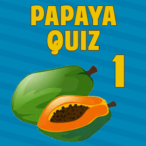 Papaya Quiz1