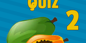 Papaya Quiz2