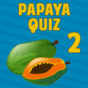 Papaya Quiz2