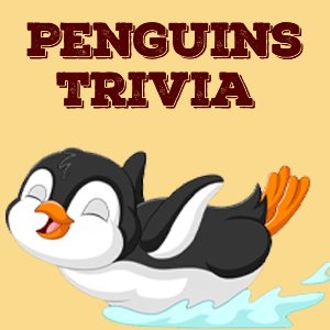Penguins Quiz