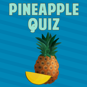 Pineapple quiz Pineapple quiz