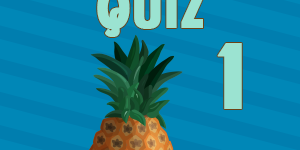 Pineapple quiz1