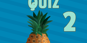 Pineapple quiz2