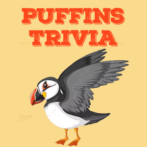 Puffins Quiz