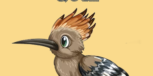 Roadrunner Quiz Roadrunner Quiz