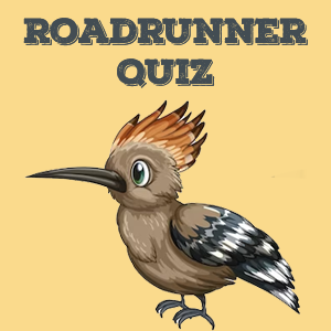 Roadrunner Quiz Roadrunner Quiz
