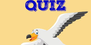 Seagulls Quiz