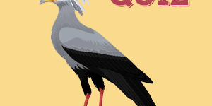 Secretary Quiz Secretary Quiz