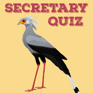 Secretary Quiz