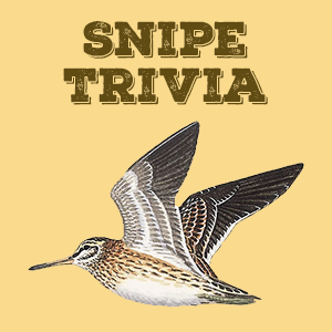 Snipe Trivia
