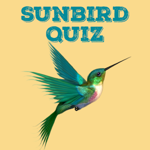 Sunbird Quiz
