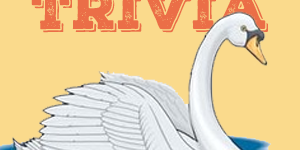 Swan Quiz