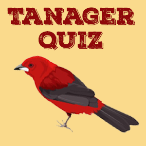 Tanager Quiz