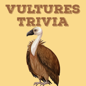 Vultures Quiz