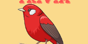 Warbler Trivia Warbler Quiz