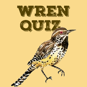 Wren Quiz Wren Quiz