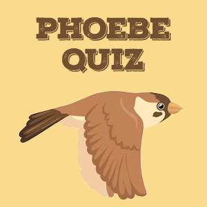 Phoebe Quiz