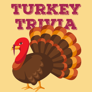 Turkey Quiz
