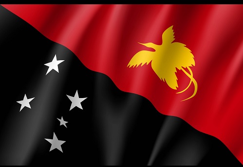 Flag Papua New Guinea national flag. Patriotic symbol in official country colors. Illustration of Oceania state flag. Vector relistic icon