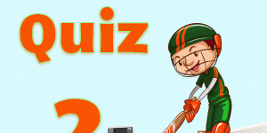 Cricket Quiz