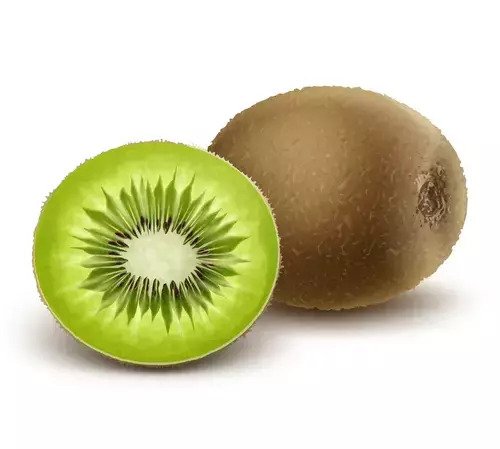 Kiwi Fruit Quiz