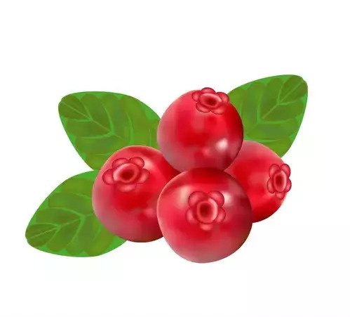 Raspberry Fruit Quiz