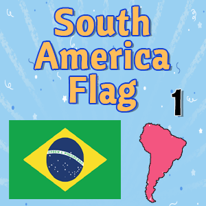 South America Flag 1