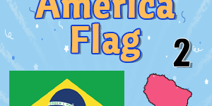 South America Flag 2