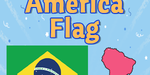 South America Flag