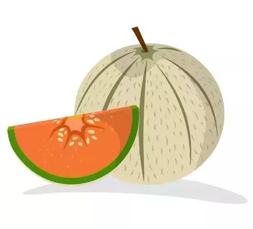 musk melon fruit quiz