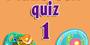 Plant cell quiz 1 Plant cell quiz 1