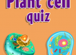 Plant cell quiz