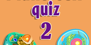 Plant cell quiz 2 Plant cell quiz 2