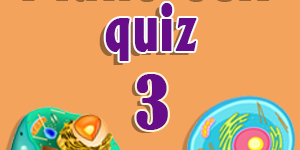 Plant cell quiz 3