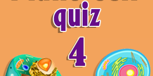 Plant cell quiz 4 Plant cell quiz 4