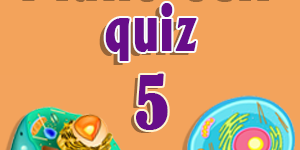 Plant cell quiz 5 Plant cell quiz 5