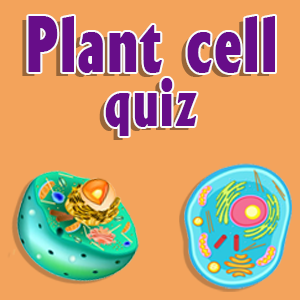 Plant cell quiz